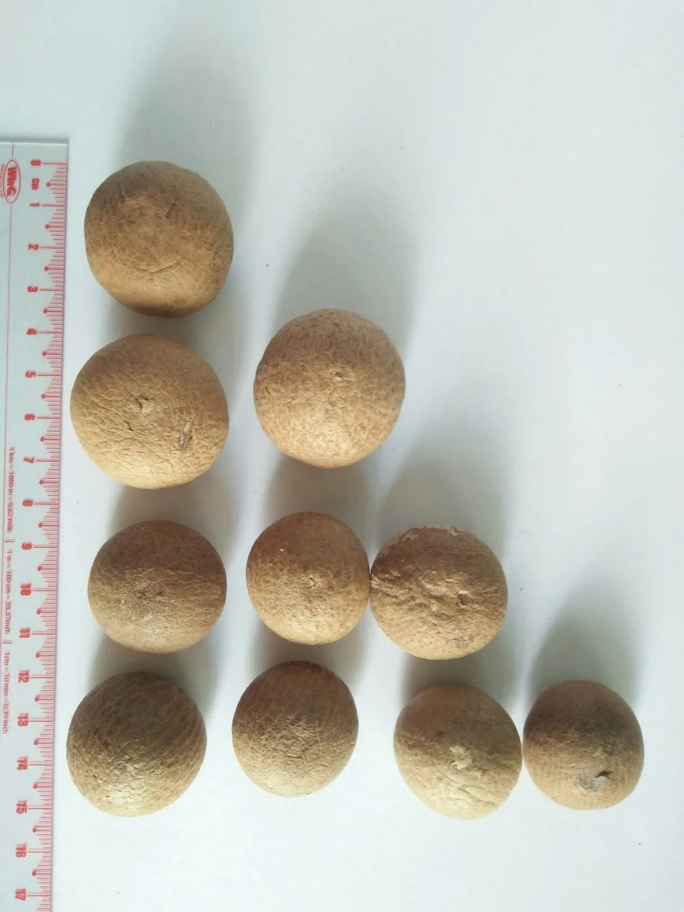 Высококачественные орехи цельной формы Areca catechu