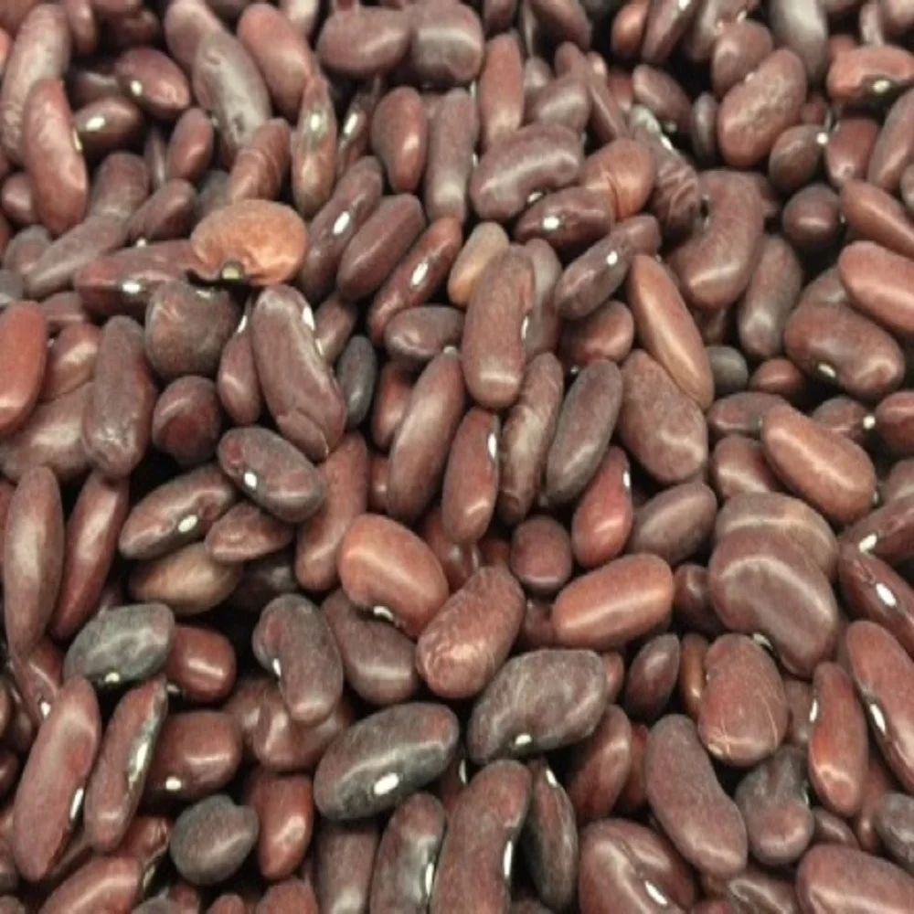 Dried Broad Beans Fava Beans