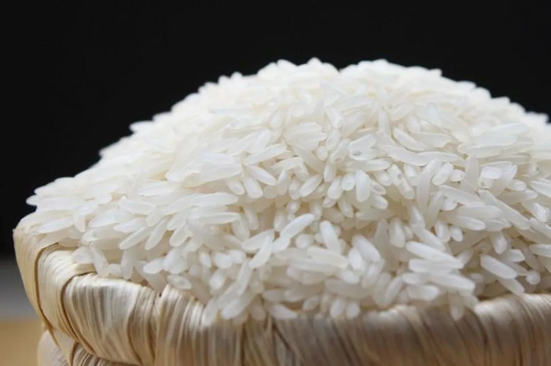 High quality new crop Vietnam long grain white rice 5451 5%/15%/25%/100% broken