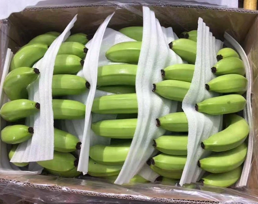 Fresh Cavendish Banana