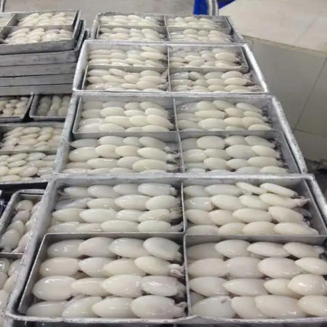 
FROZEN BABY CUTTLEFISH FROM VIET NAM 