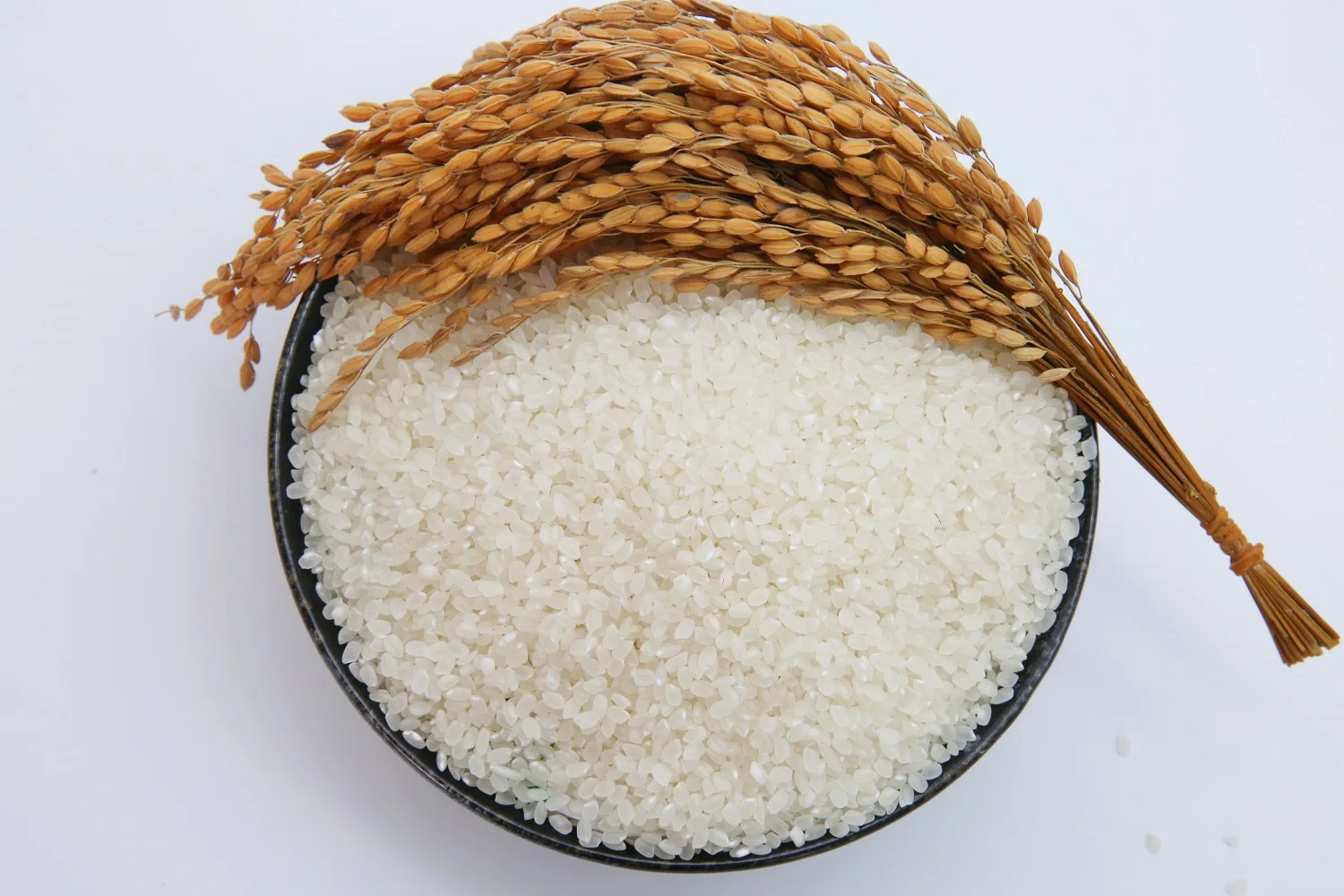 
From Viet Nam High Quality Fresh Aromatic Rice White Rice Organic Japonica Rice 