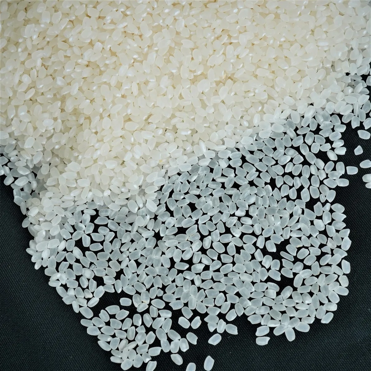Hot Selling Vietnam Round Rice Rich Protein Short Grain Japonica Rice from Vietnam Best Supplier Contact us for Best Price
