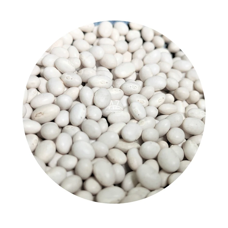 Best quality White Beans New Harvest NON GMO fully organic Long Shape White Kidney Beans best price navy beans from Ethiopia