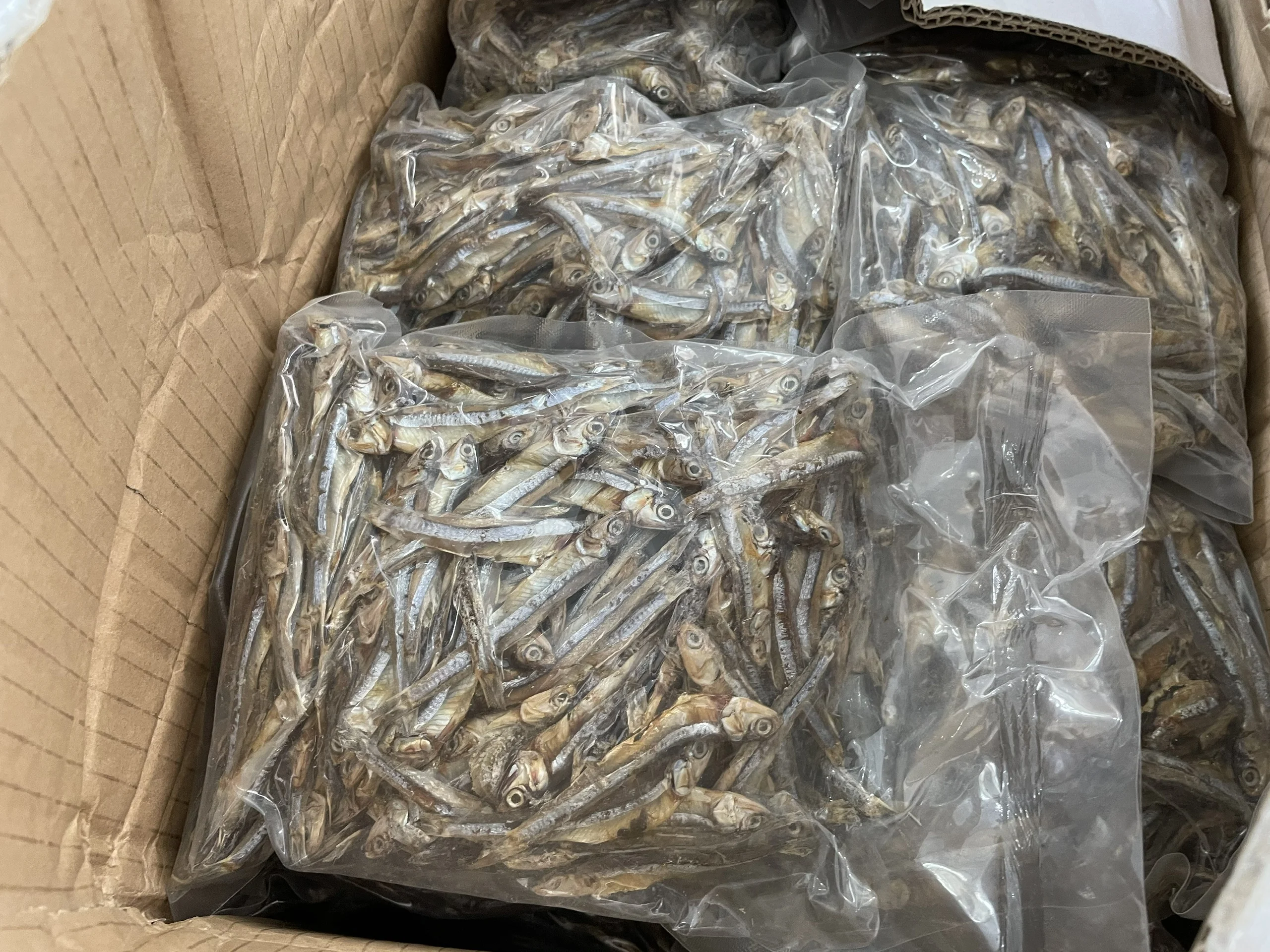 SUN-DRIED ANCHOVY BIG/ SMALL SIZE NATURAL BEST QUALITY FOR EXPORT (+84867778224 David)