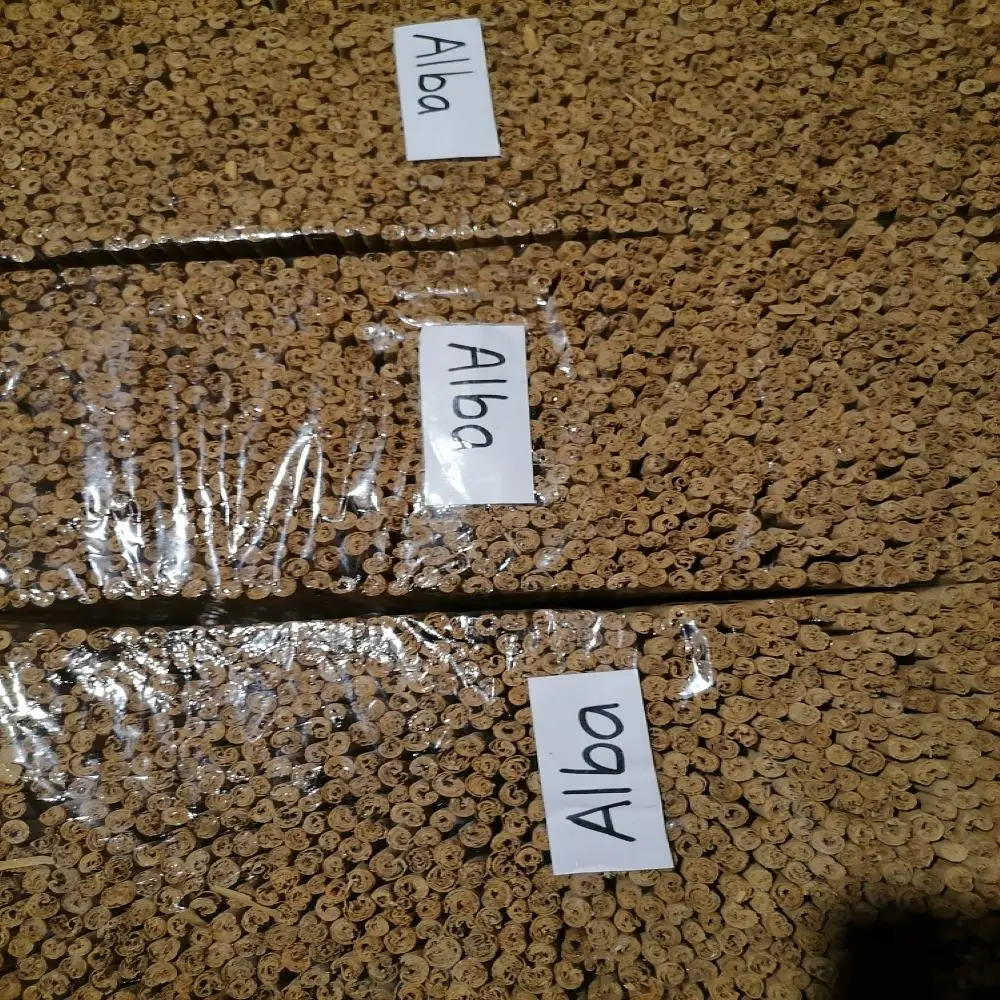 Настоящая цейлонская Корица | Лучшая в мире настоящая Корица из Шри-Ланки | Корица класса Alba