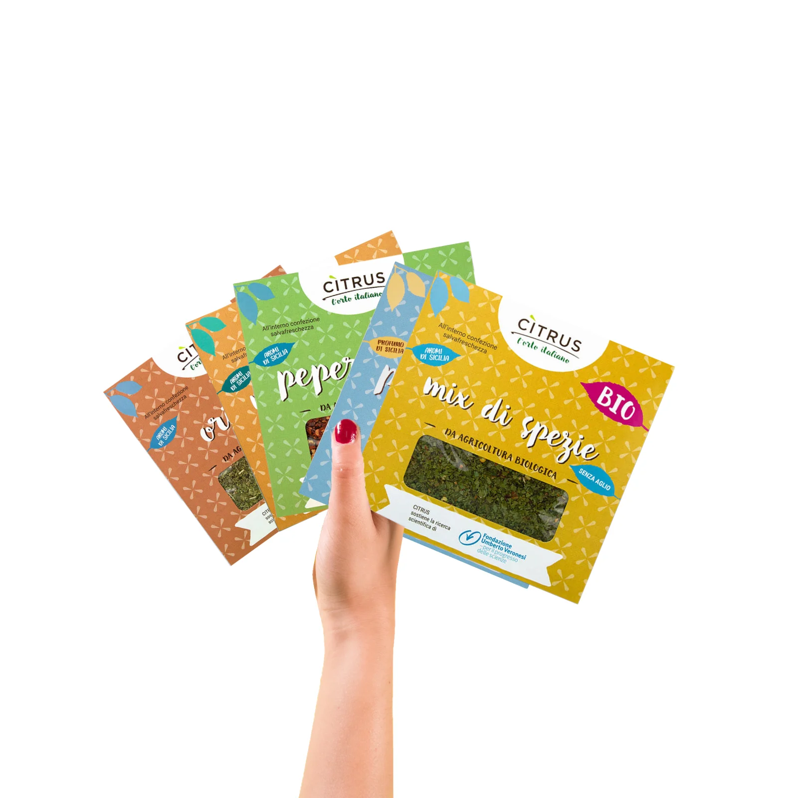 Organic chili red pepper dried ginger tomatoes mixed spices oregano Italian Food and Beverage singles spices for Supermarkets