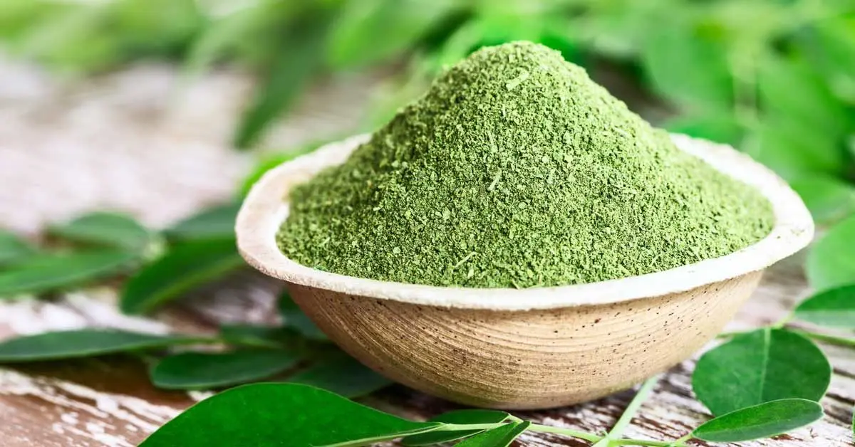 100% Organic Natural Quality Moringa Leaf Extract Powder/ Moringa Oleifera Seeds