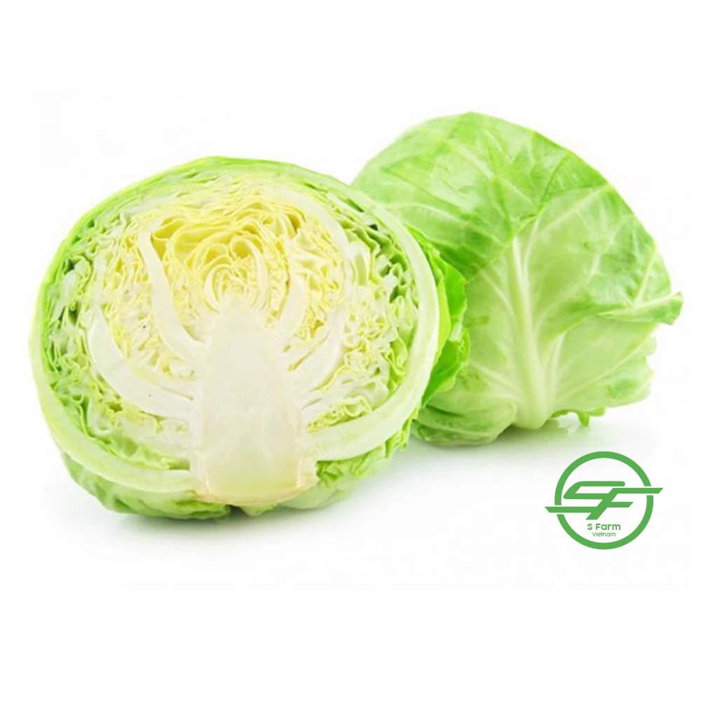 Свежие органические зеленые кабазы без пестицидов