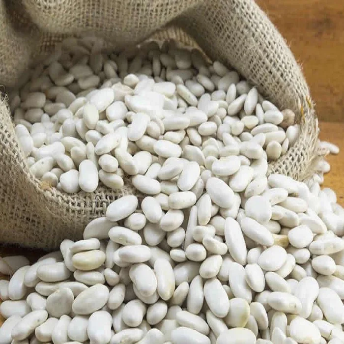  Best Quality Beans-Large white lima