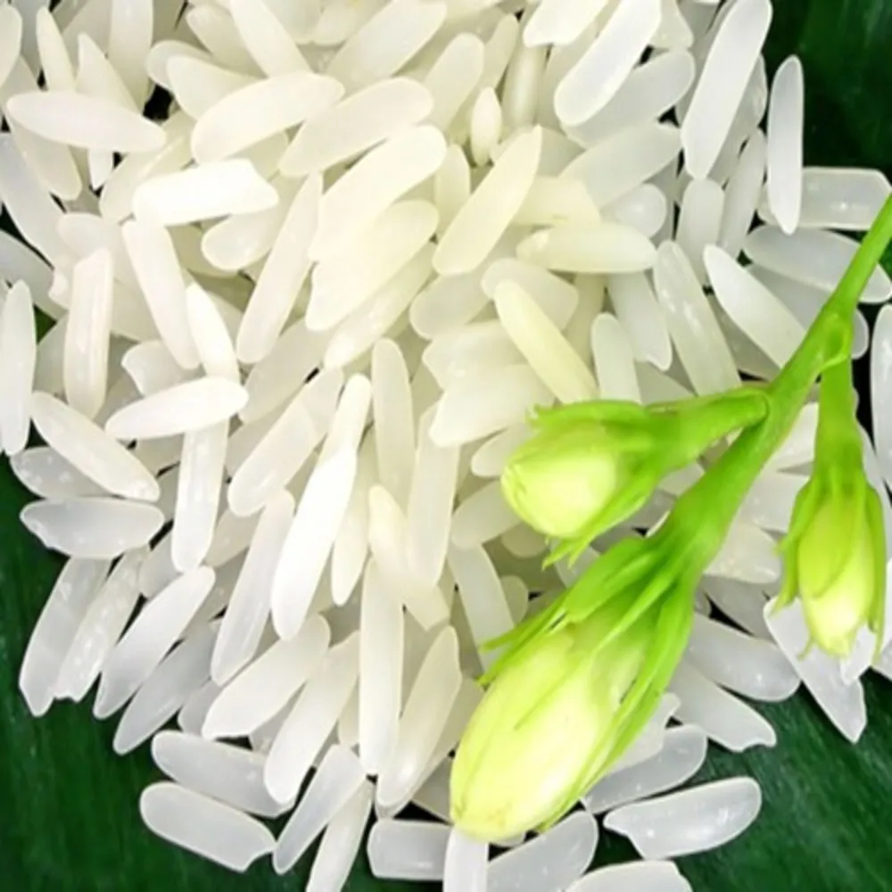 25kg Jasmin Premium Basmati Rice