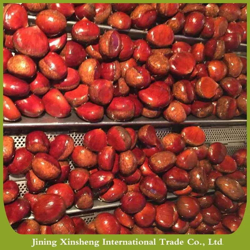 Fresh Chestnuts Available now with Best Price