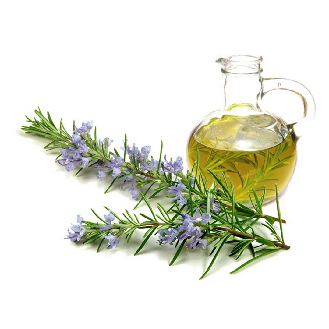 RoseMary Essential Oil in Large Quantity, Available in Private Label /OEM