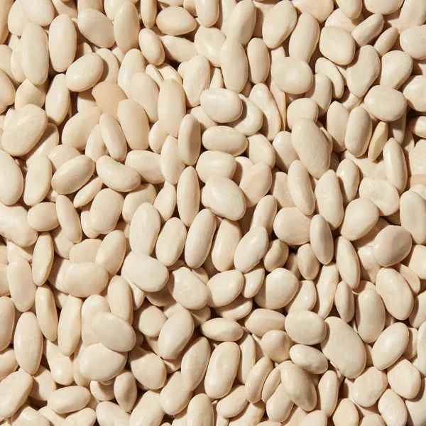 
Top quality 98% healthy white beans 