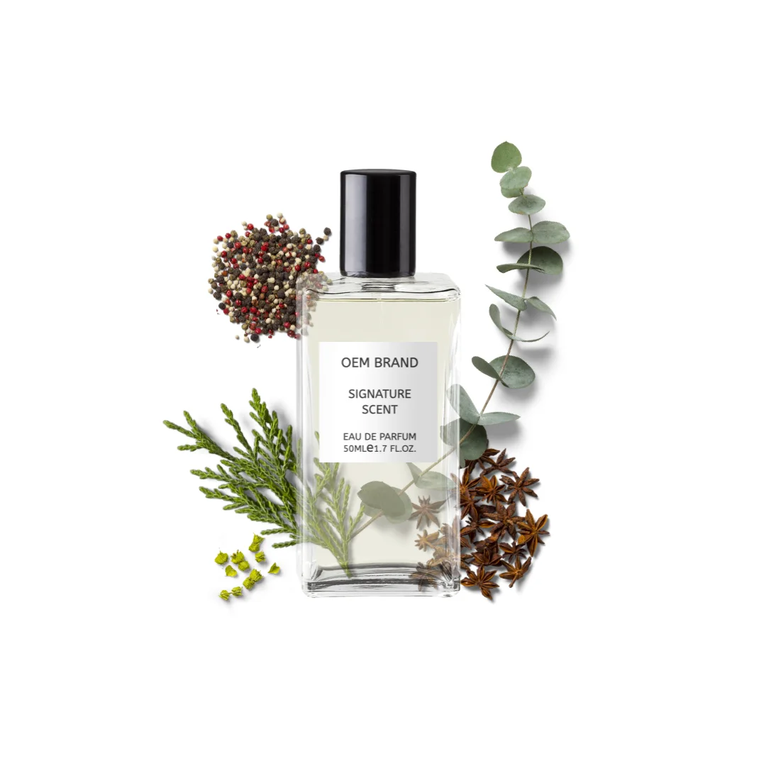 
Warm Spicy And Classic Woody Perfume For Men OEM Create Your Brand By Perfumer From Thailand 