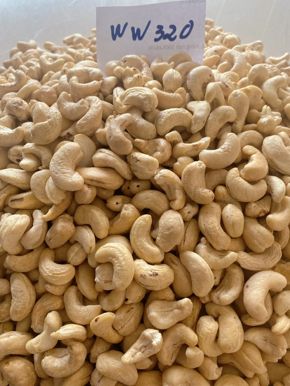 Vietnam Manufacturer Small Pieces Cashew Nuts Dried Raw Cashew Kernel w240 w320 w450