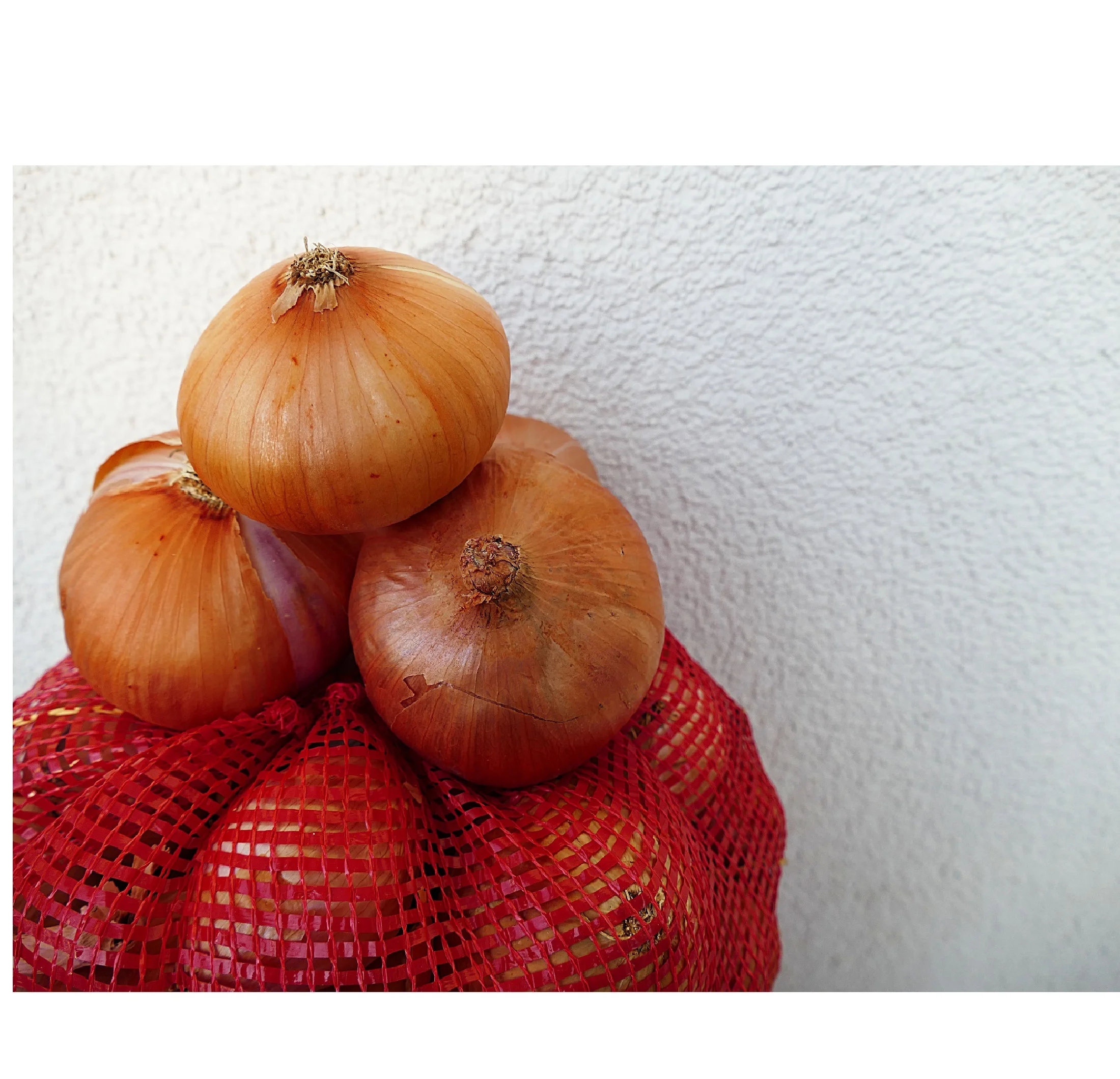 Лидер продаж, сетчатые сумки Leno по лучшей цене