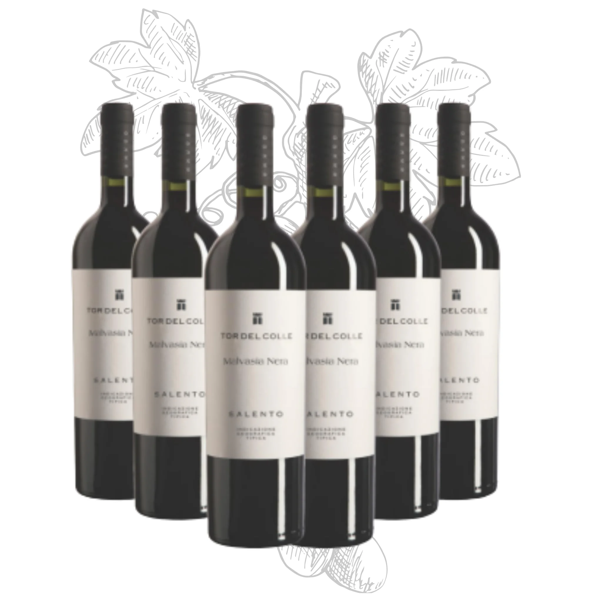 Premium Italian Red Wine - Malvasia Nera Salento IGT Tor del Colle - bottles 750 ml alcohol 14.5% for export
