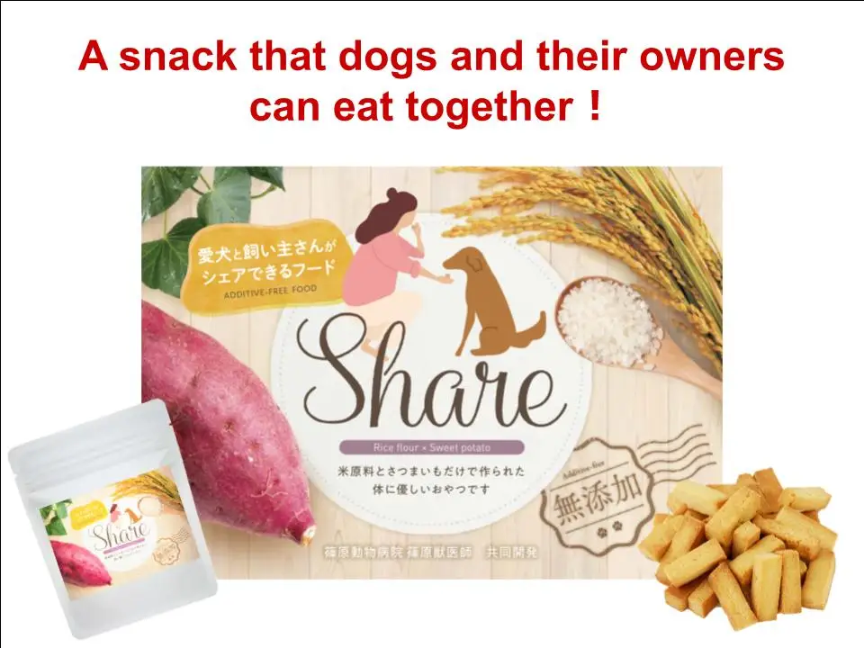 Japan additive-free vegan dog food pet biscuits snack cookie