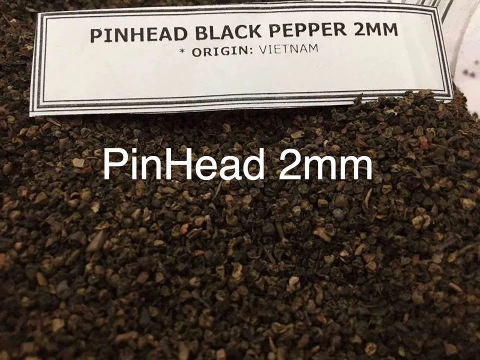 Top Quality 2021 Black Pepper chilli black pepper 550GL Made in Vietnam