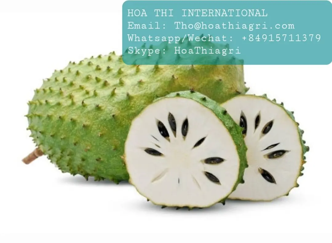 24 Month Shell Life Sterilized Sweet Sugar-Free  Frozen Soursop Pulp With Seed/Seedless Origin From Vietnam