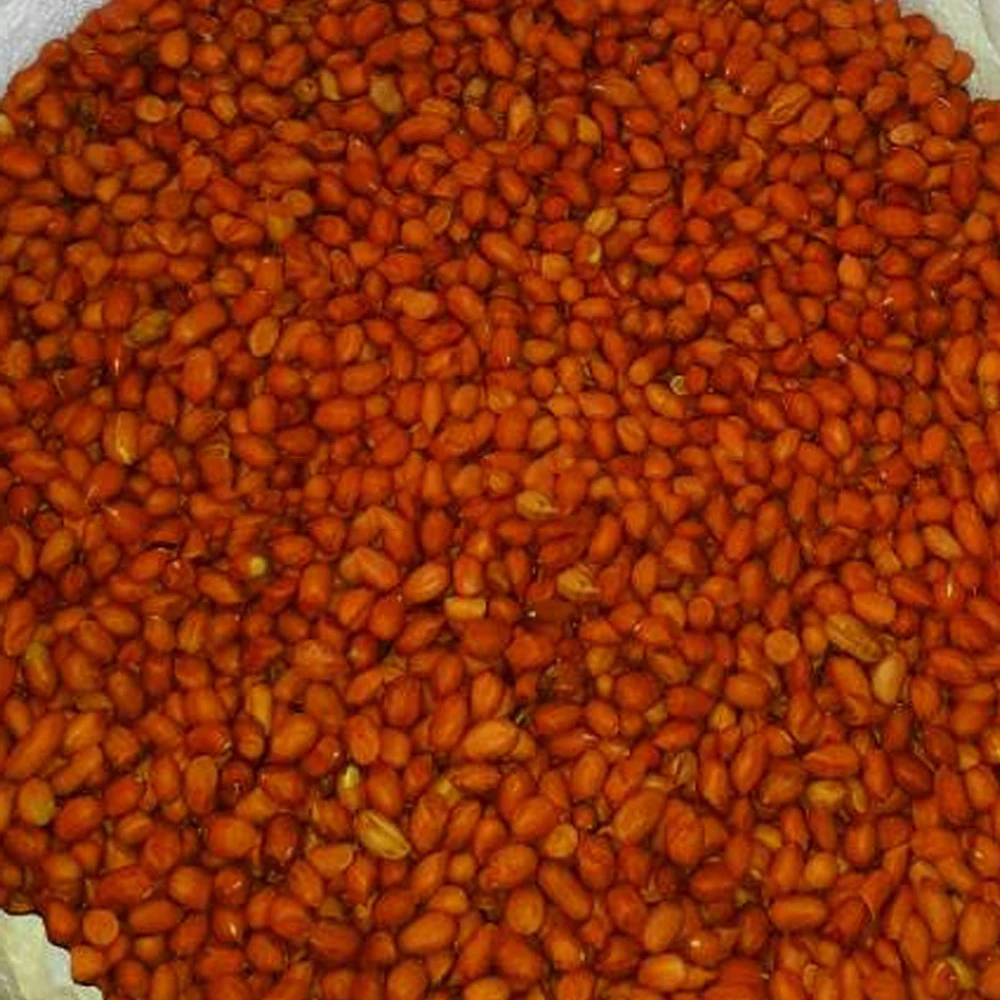 Millennium High Quality Raw Peanuts Without Shell Peanut Wholesalers Raw Peanuts Blanched Peanuts