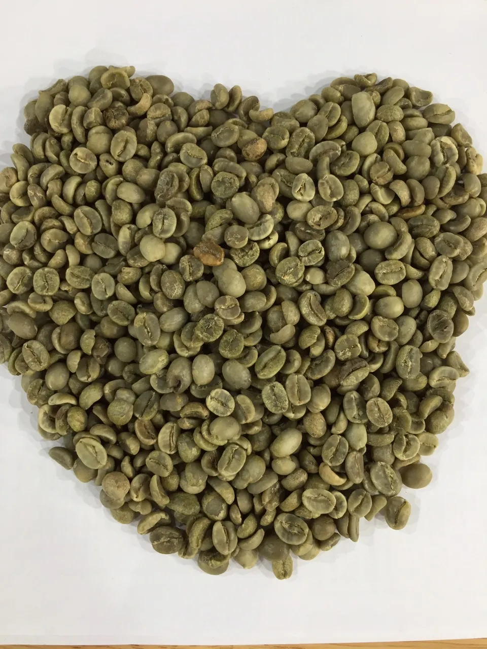 Жареные кофейные зерна Arabica Kopi Luwak OEM и