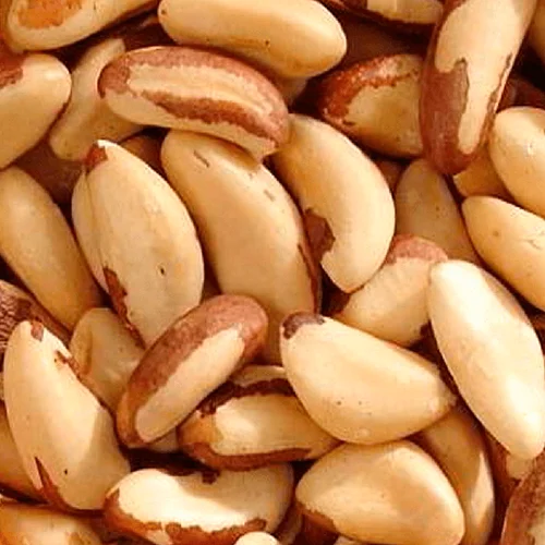 Brazil Nuts