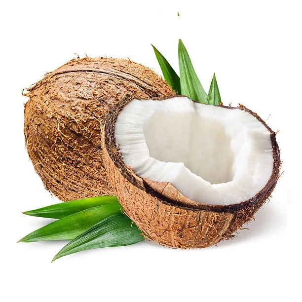 Organic Natural Coconut Dry Fruit Bulk Wholesale Fresh Mature Coconut Crop Sweet Water Semi Husked Coconut From Bangladesh
