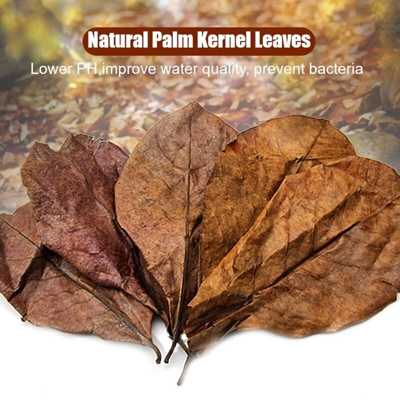 200/100/50Pcs Natural Terminalia Catappa Leaves Aquarium Decoration Tank Cleaning Tools Water Treatment Almond Leaf Fish