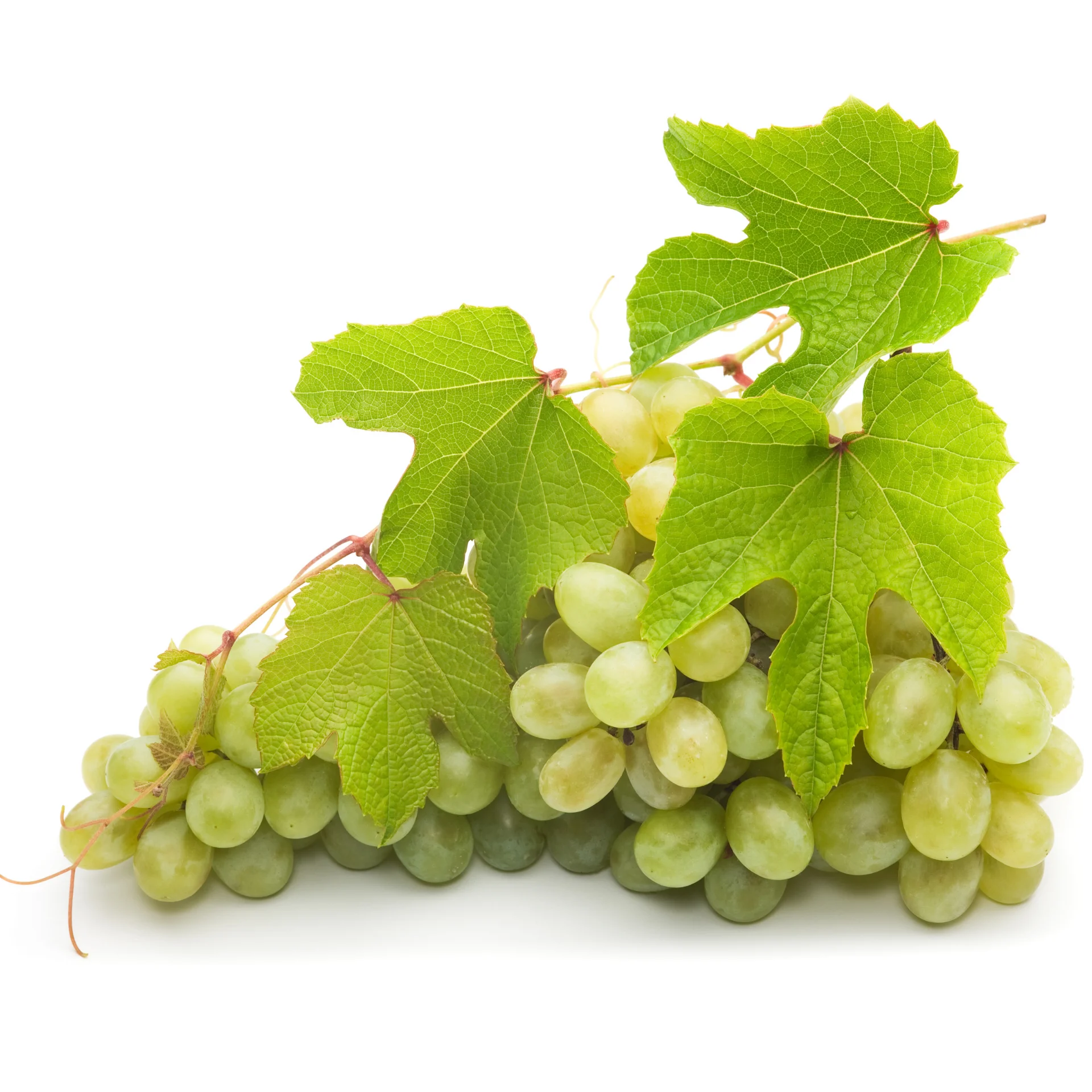 Зеленый виноград без рассады-свежее качество