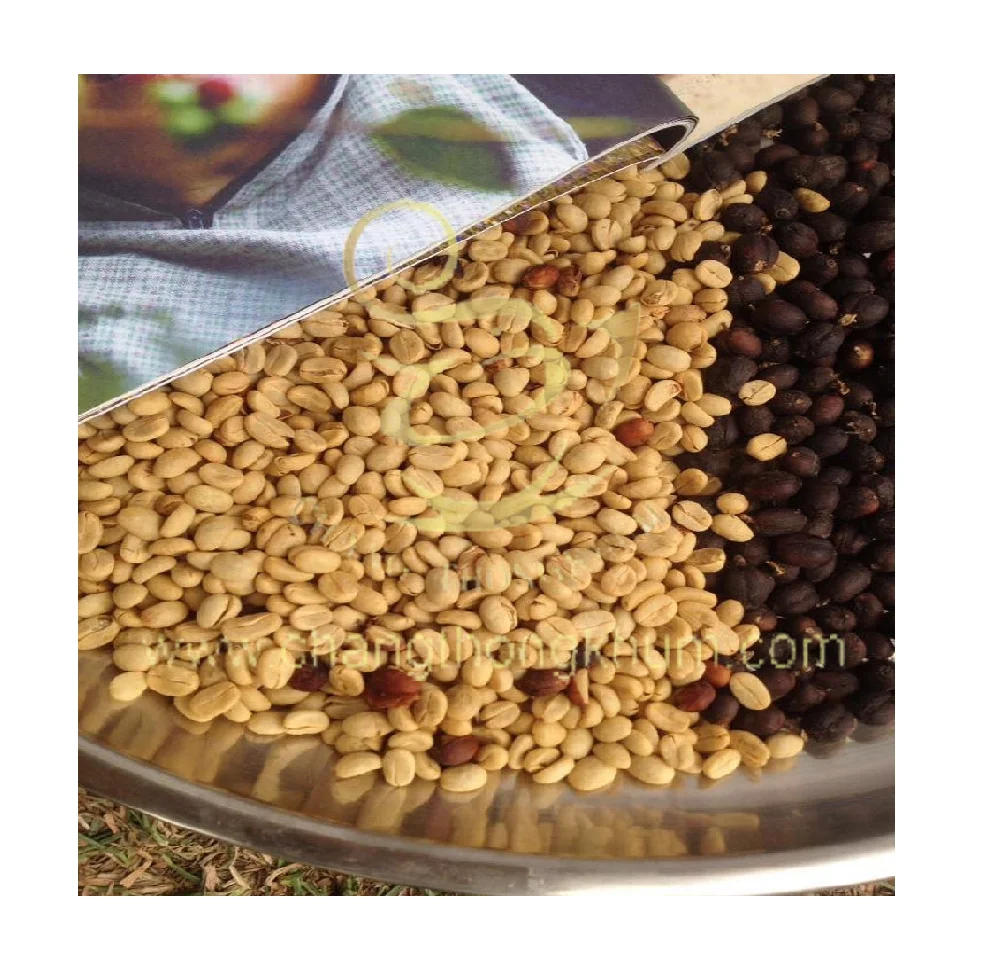The Best Quality of Thailand product of  Premium Arabica Green Coffee Beans by Changthongkhum