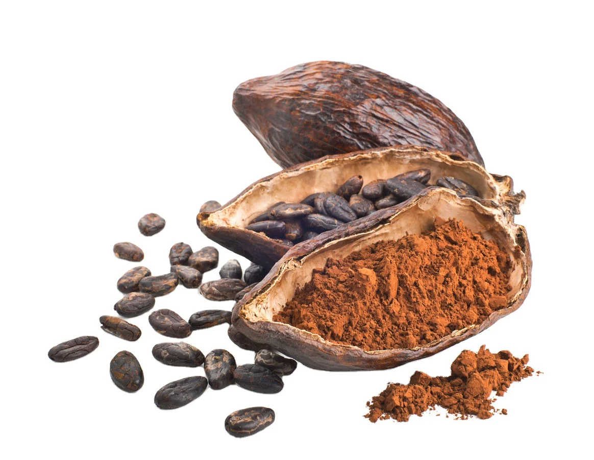 Dried Raw Cocoa Beans Weight Origin Type Variety Cacao Size Grade Place Model Maturity Criollo