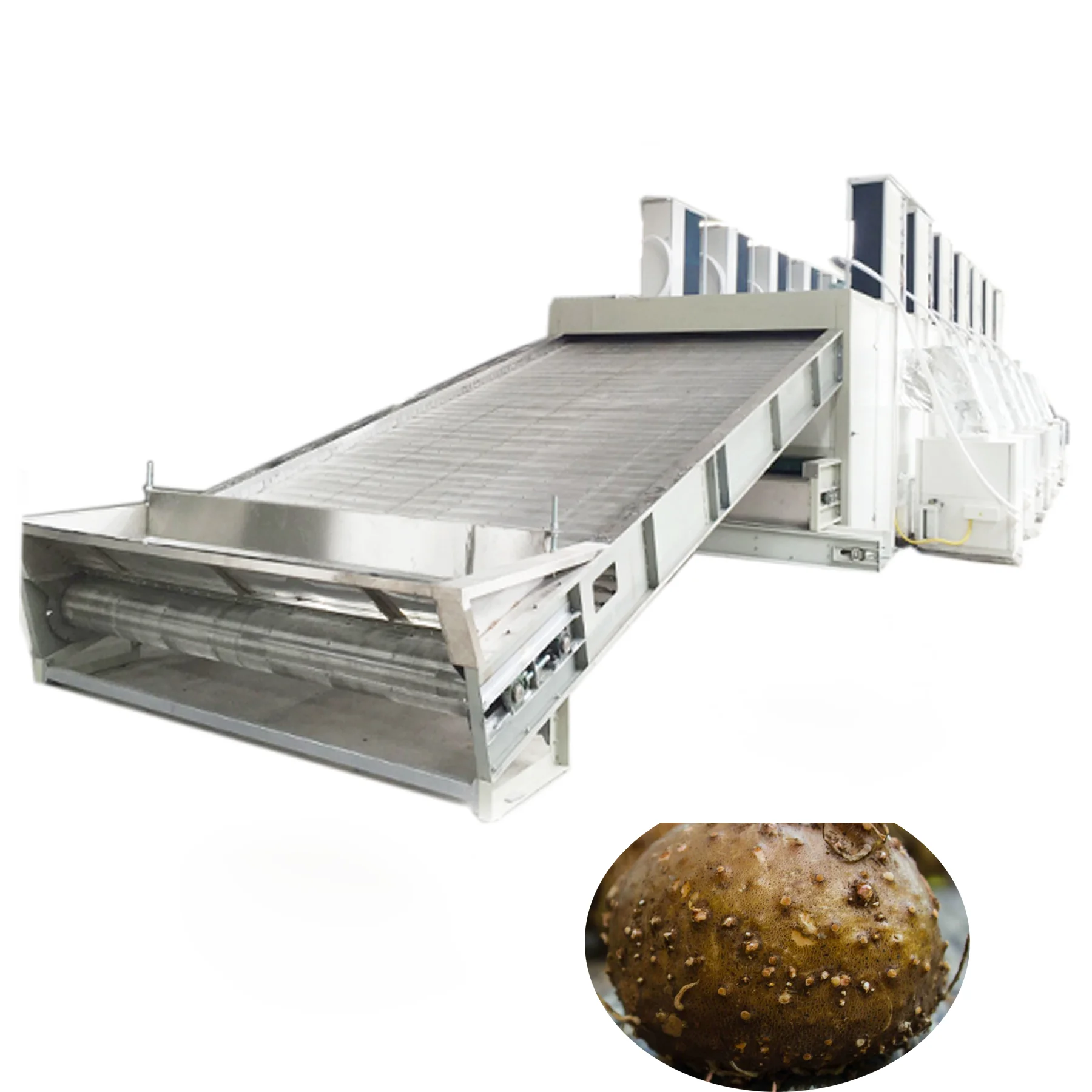 konjak drying  machine.png