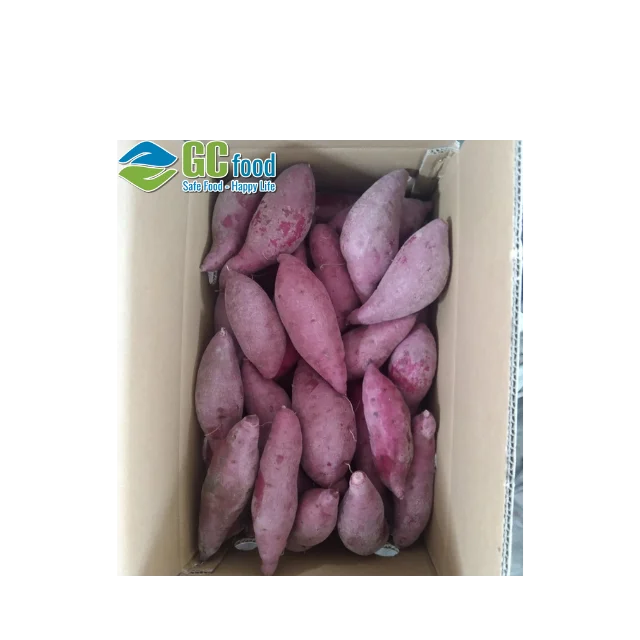 Свежий сладкий картофель-зрелый Урожай 100% органических овощей из Вьетнама (GC Food)