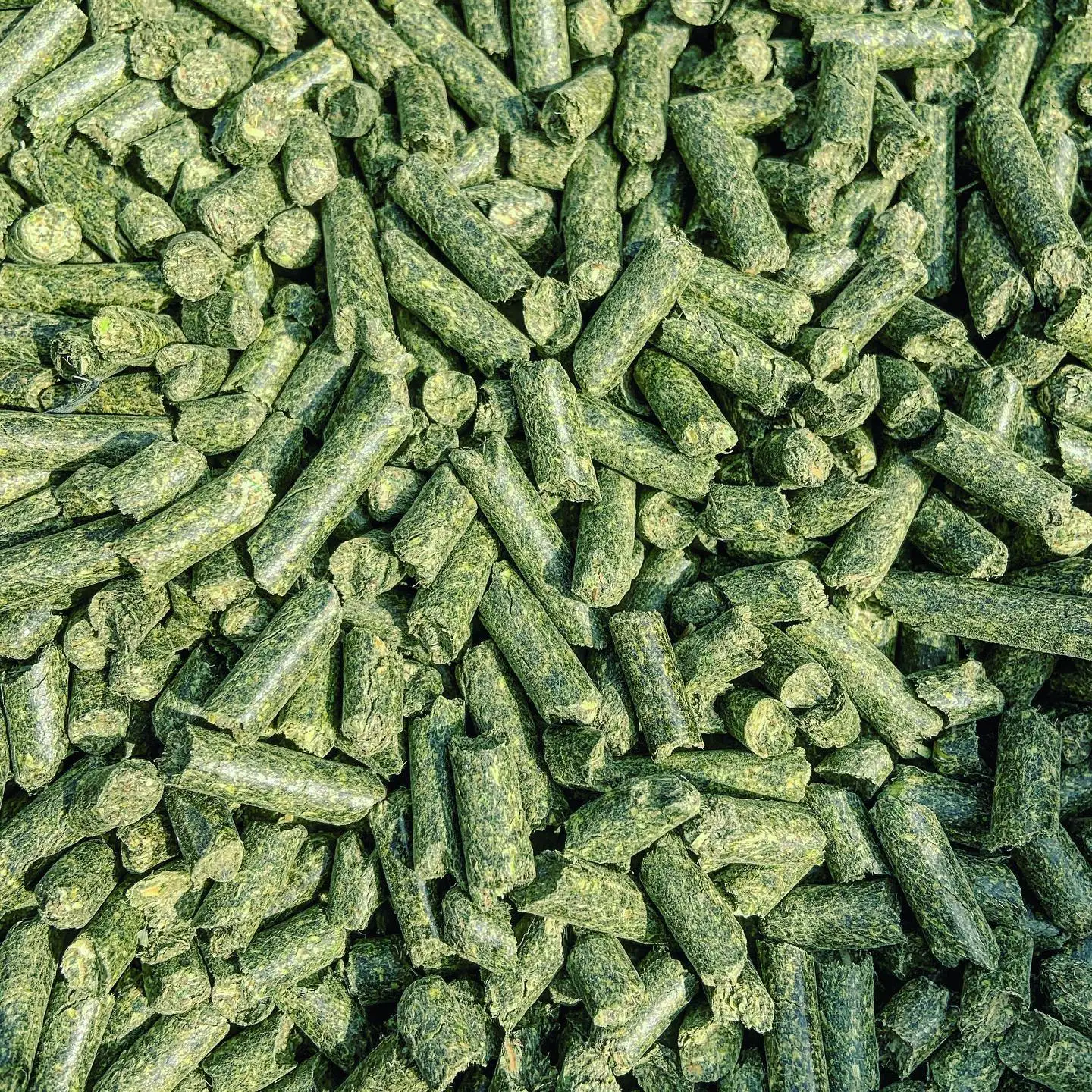 
Quality Alfalfa Hay and alfalfa cube for Animal Feed and Seeds Cheap Alfalfa Hay Bales 