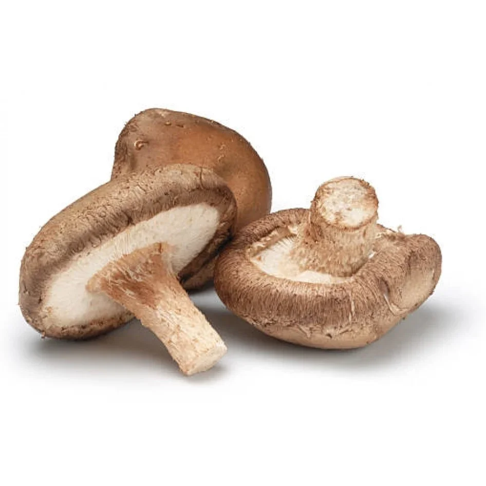  Mushrooms & Truffles canned button