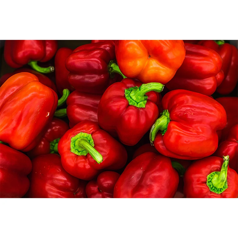 Blended Dried Chilli Mix Paprika Seasoning Powder 25kg 1 Year Shelf Life Can Be Used For Oyster, Instant Noodles and Sauce