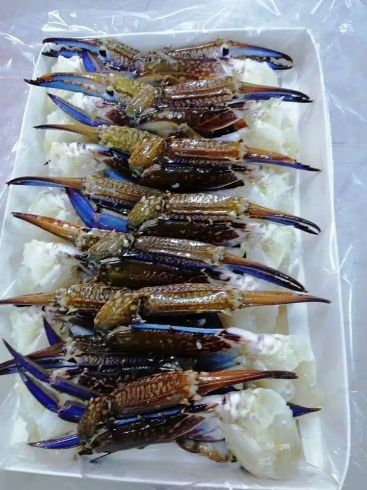 Наполовину разрезанный замороженный синий краб для плавания