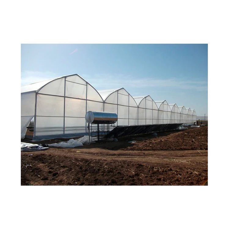 Good quality industrial film greenhouses for all-year vegetable and fruit growing, greenhouse metal frame