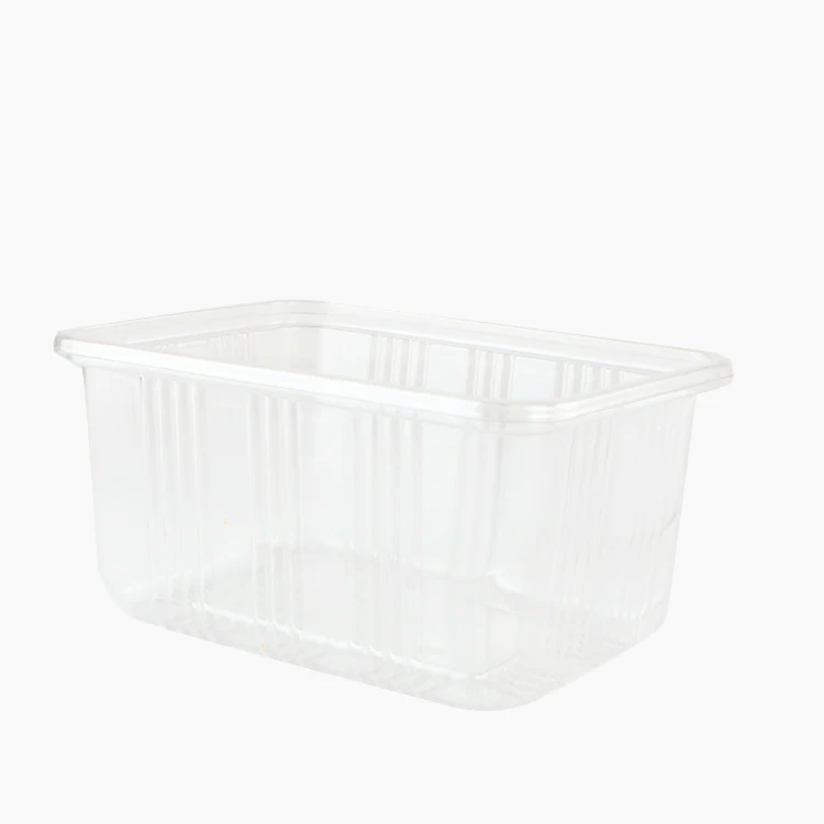 Clear Transparent Rectangular Food Takeout Container Biodegradable Food Container