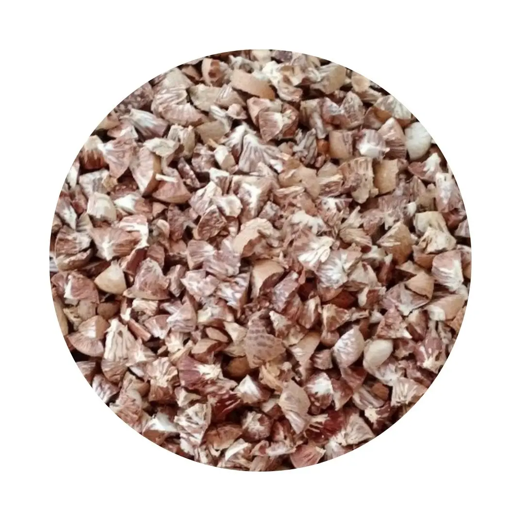 Areca Supari Betel Nut High Quality