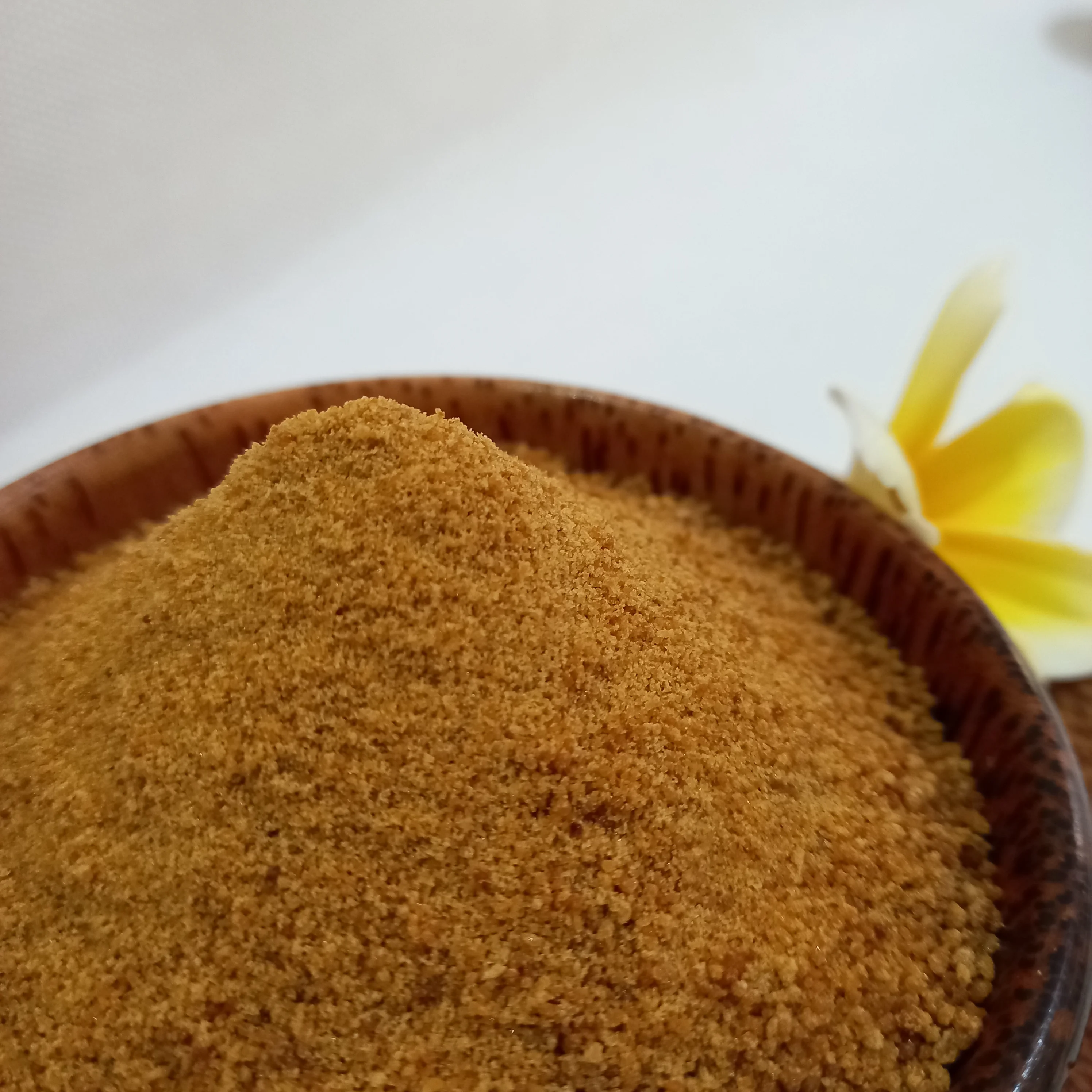 Indonesian Coconut Palm Sugar Powder High Quality