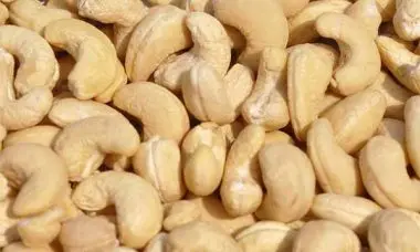 VIETGAP Certification Grade 1 Organic  Blended Fresh Cashew nut From Vietnam