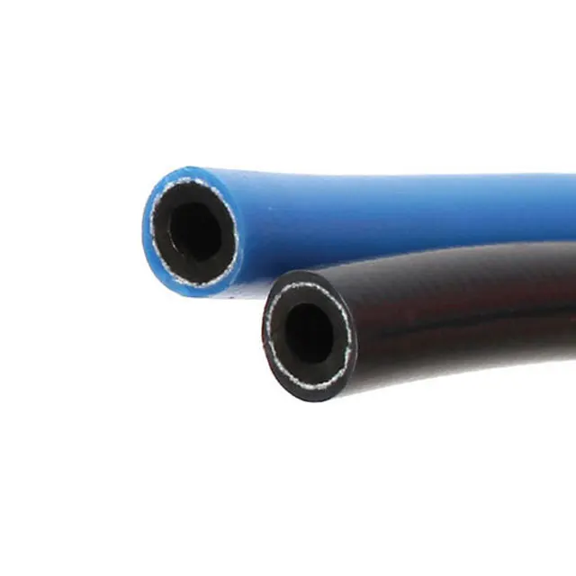 Ginseng hose - Made in Korea