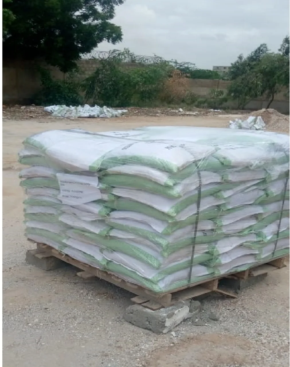 Plaster of Paris (POP)