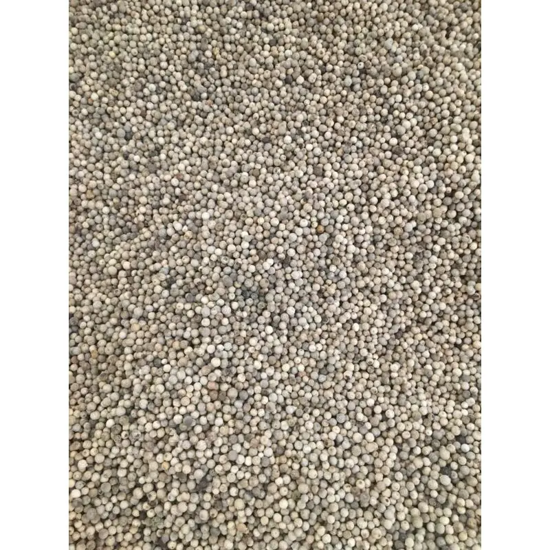 White Pepper Chola Superfoods Wholesale Factory Price White Pepper CSF/WHPE/2022-2023 Reasonable Price