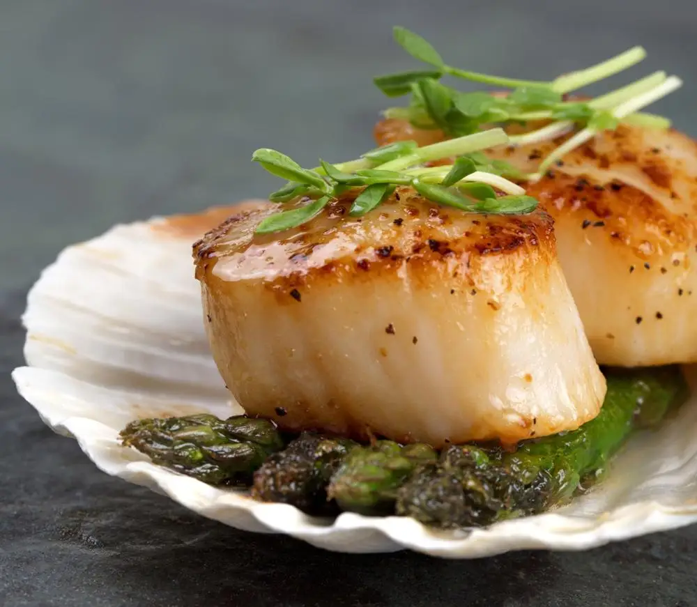 Frozen scallop