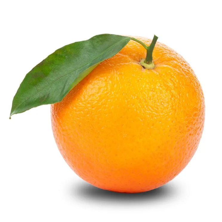 juicy citrus fruits for sale fresh sweet mandarain orange