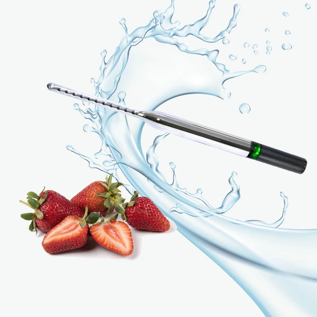 portable o3 generator M20